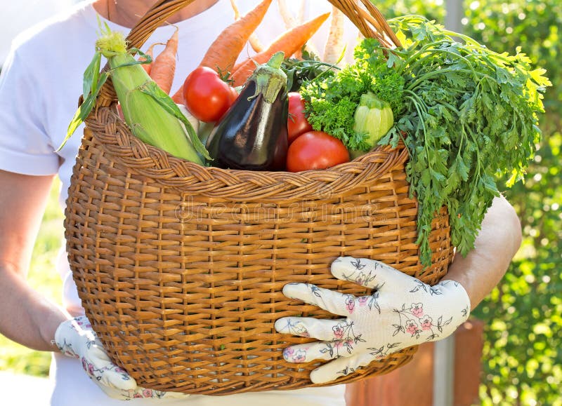 Basket is full of fresh vegetables