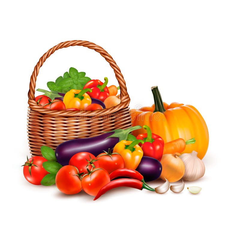 Basket with vegetables stock vector. Illustration of composition 10789604