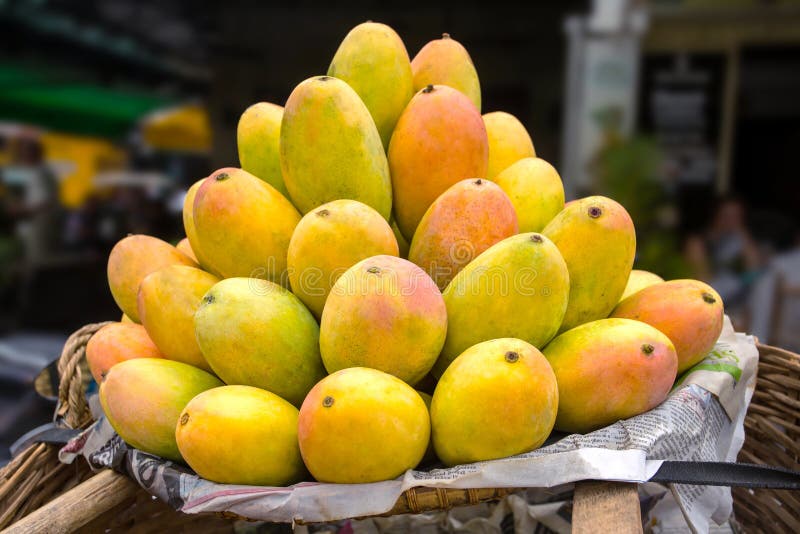 Basket Full Ripe Mangoes Stock Photos Free & RoyaltyFree Stock