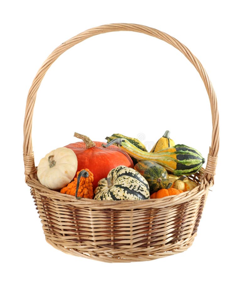 Basket of Gourds Isolated stock image. Image of fall 21363283