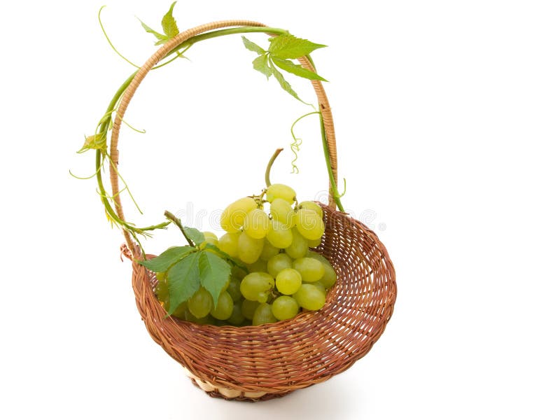 Basket with grapes