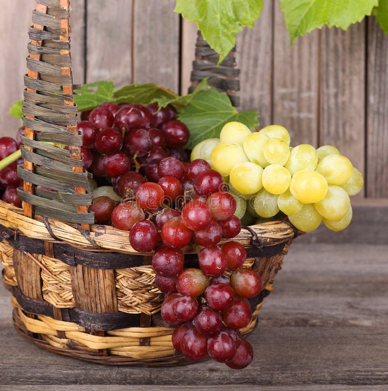 Basket of Grapes Closeup stock photo. Image of basket 33015050