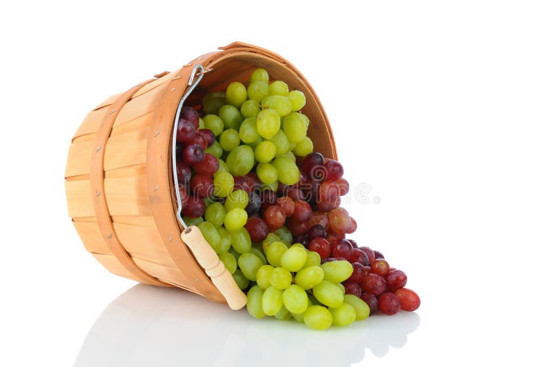 Basket of Grapes on its Side
