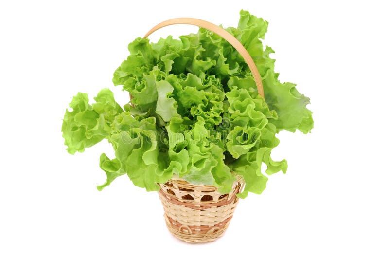 Basket with green lettuce salad