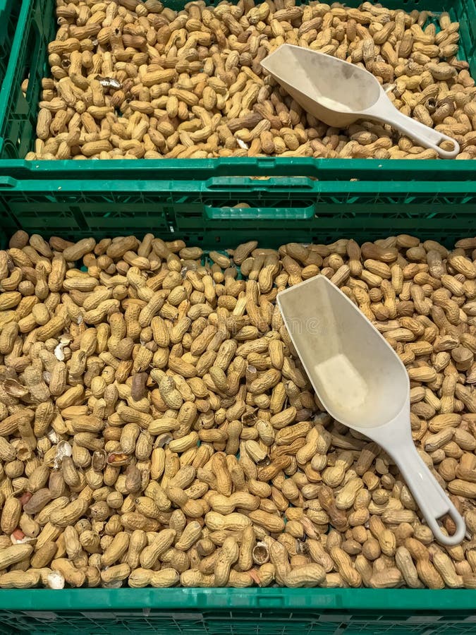 Peanuts Group Single Shelled Stock Photo Image of shells, satisfying