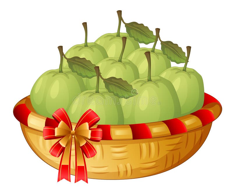 A Basket Of Guavas Stock Vector - Image: 41503285