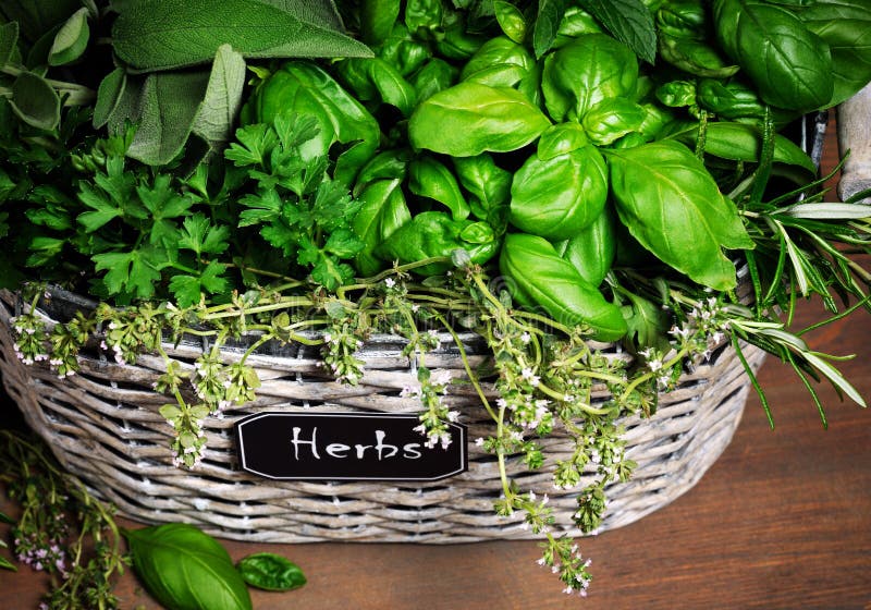 Basket of fresh herbs stock image. Image of arranged 32492515