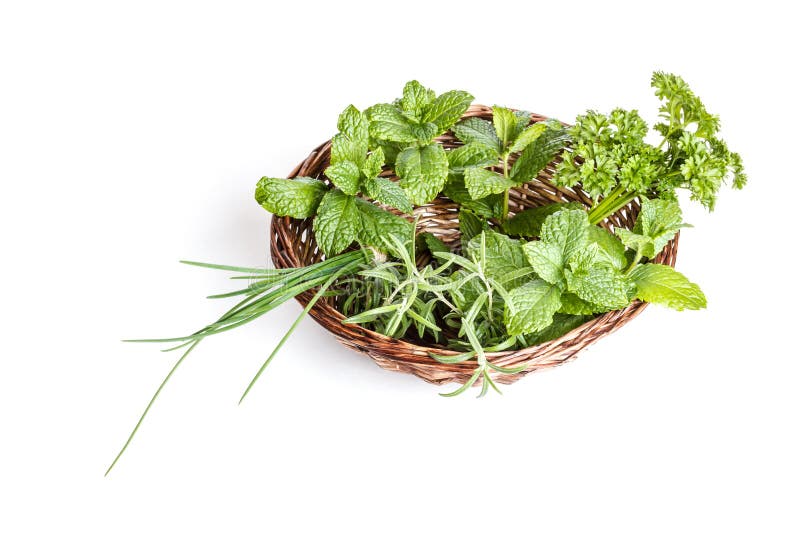 Basket of herbs stock photo. Image of herb, rosemary 30222618