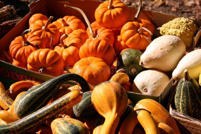 Basket of Holiday Vegetables