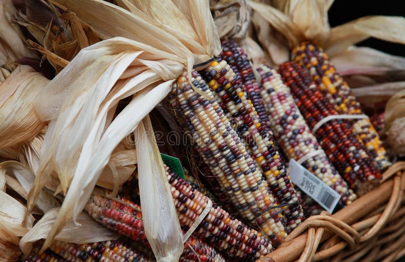 Basket of Indian Kernals