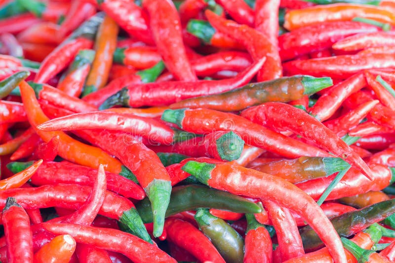 Basket Long Red Chillies Stock Photos Free & RoyaltyFree Stock