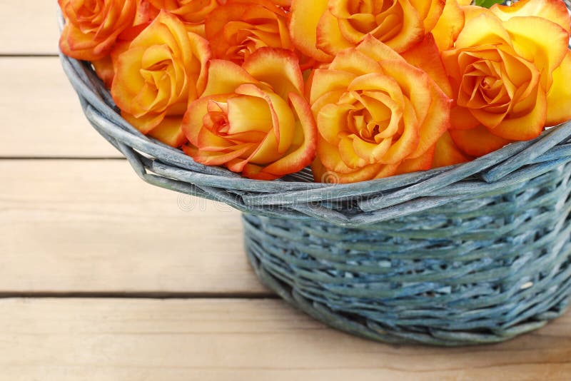 Basket of orange roses stock photo. Image of anniversary 43689776