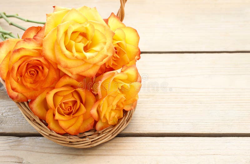 Basket of orange roses stock photo. Image of bunch, greetings 43995094