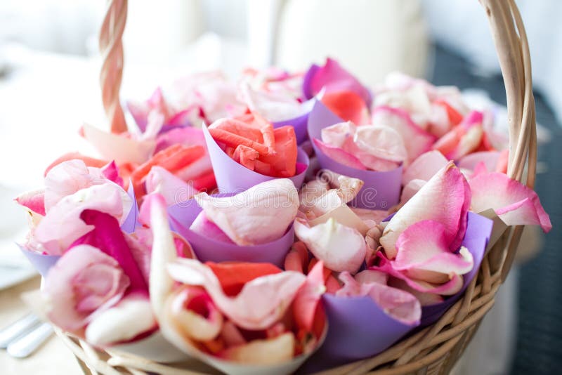Basket with Rose Petals in a Path of Rose Petals Stock Photo Image of