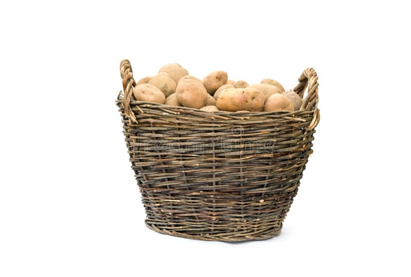 Basket of potato stock image. Image of root, eating, crop 21003467