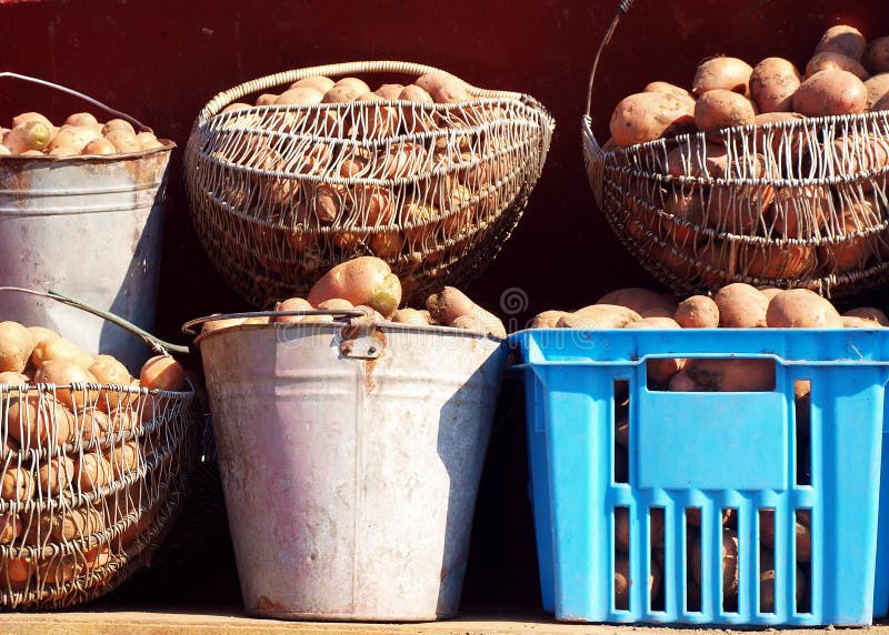 Basket of Potatoes stock image. Image of nutrition, fresh 22230409