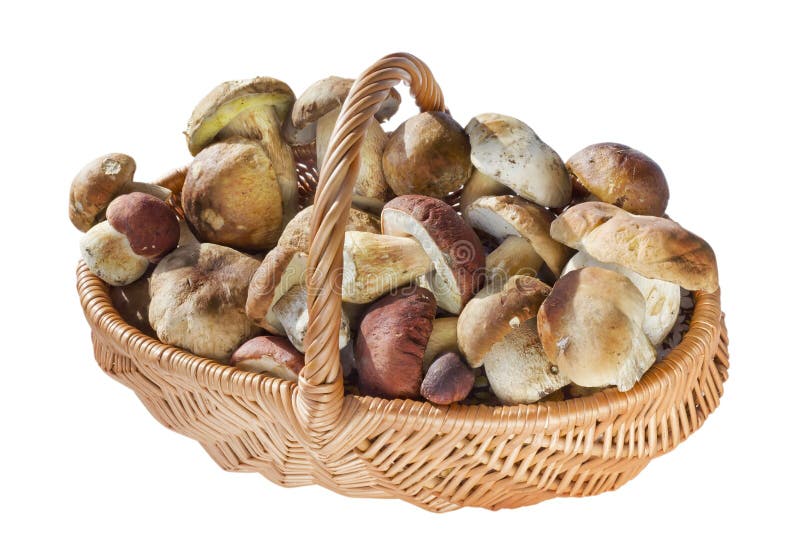 Basket with real wild mushrooms