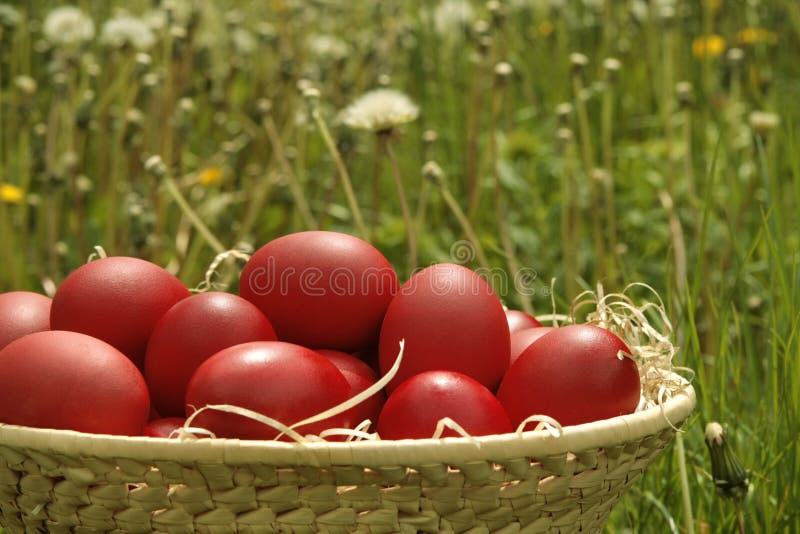 Basket with Red Easter Eggs Stock Image Image of traditional, spring