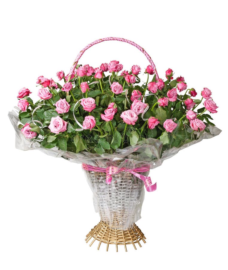 Basket of roses stock photo. Image of ribbon, white, gift 24131338