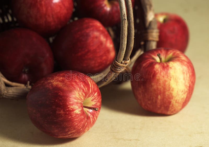 Basket with Royal Gala Apples, Malus Domestica Stock Photo Image of