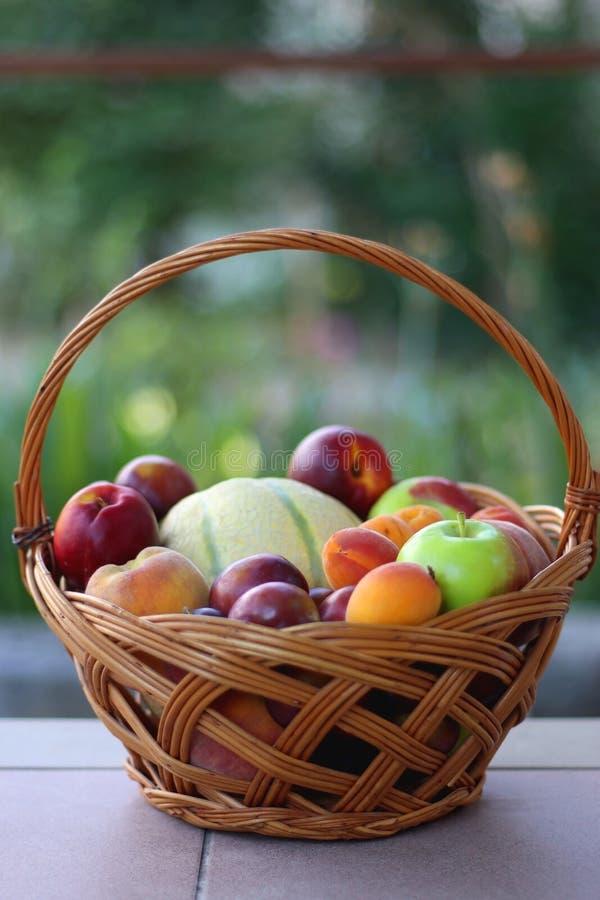 Basket of Seasonal Fruit stock image. Image of field 255548533