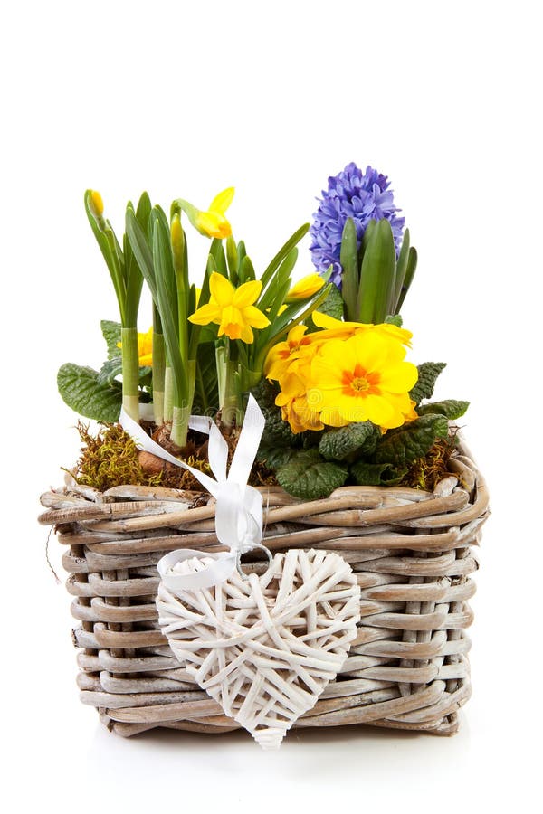 Basket spring flowers