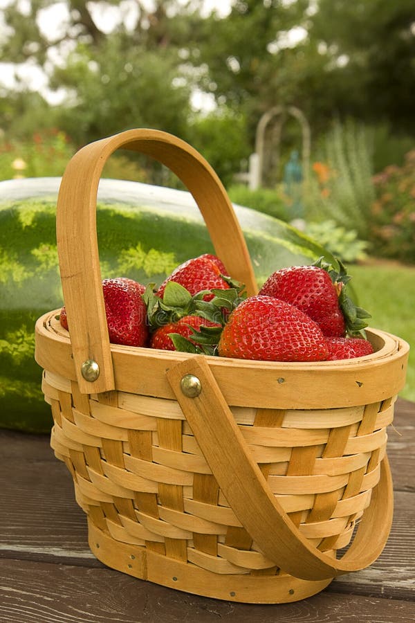 Basket of Strawberries stock photo. Image of outdoors 14760594