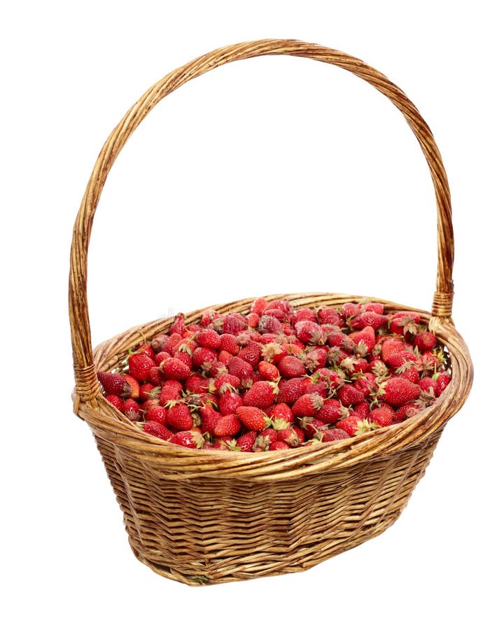 Basket of strawberries stock photo. Image of eating, plants 42131352