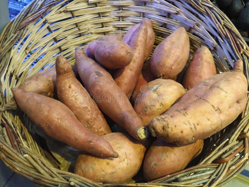 Basket of sweet potatoes stock photo. Image of fresh 18889364