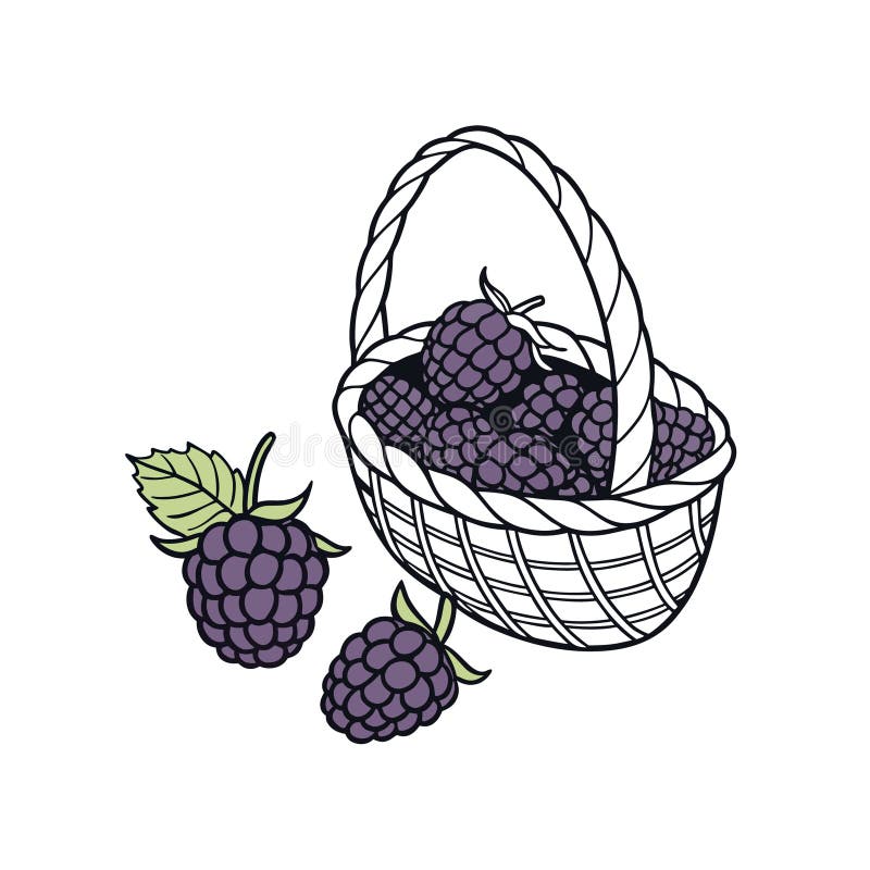 Basket Vector Illustration for Coloring Page stock illustrationer