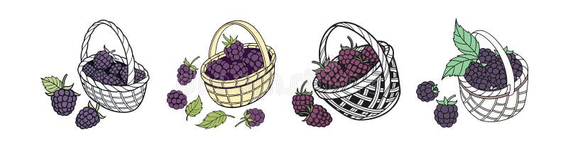 Basket Vector Illustration for Coloring Page royaltyfri illustrationer
