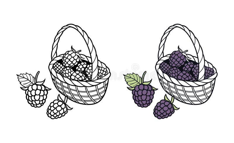 Basket Vector Illustration for Coloring Page vektor illustrationer
