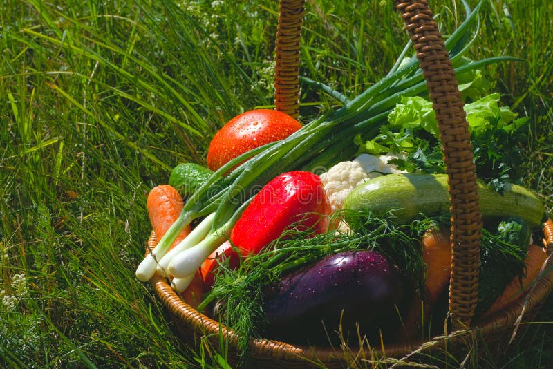 Basket with vegetables