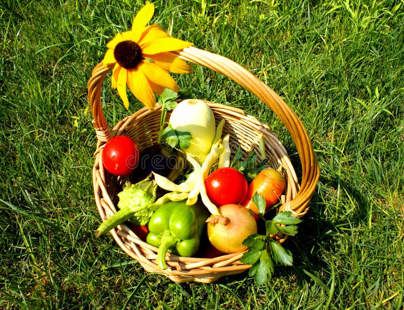 Basket with vegetables stock image. Image of grass, flower 43461741