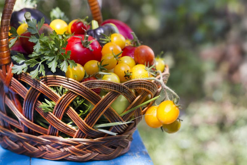 Basket with vegetables stock photo. Image of grow, harvest 44721822