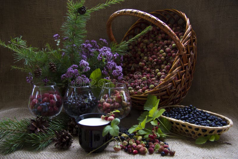 Basket of wild berries stock image. Image of marjoram 61686049