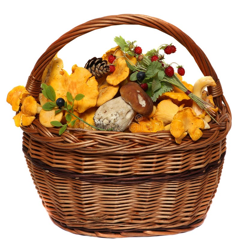 Basket with wild forest mushrooms and berries