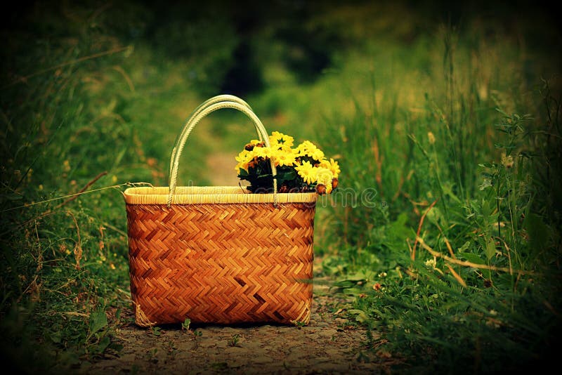 Basket with yellow flowers stock image. Image of rest 29955397