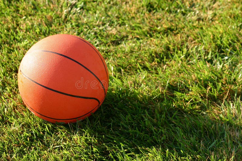 Basketball in grass with sun shining on it