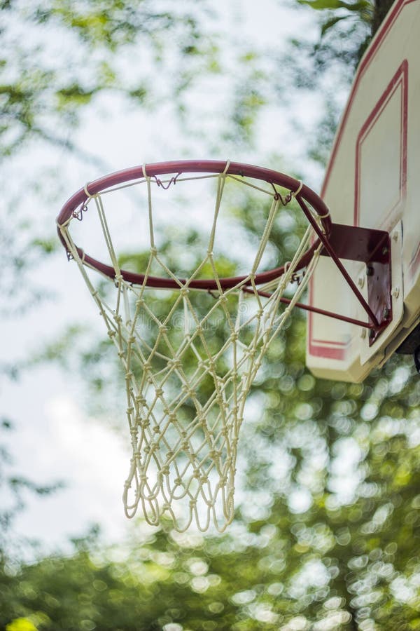 A Basketball Basket on the Tree Stock Image Image of tree, pursuit