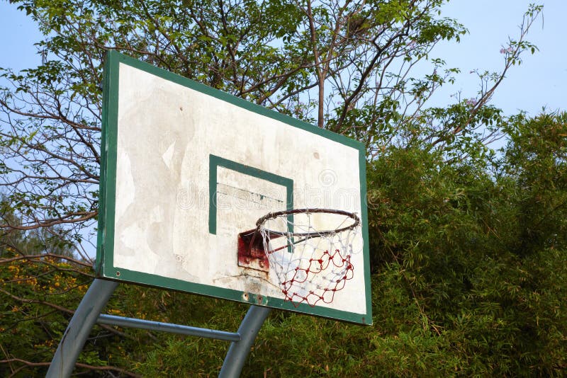 Basketball board and tree stock image. Image of playground 40680865