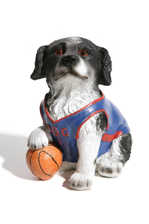 Basketball Dog stock image. Image of lovable, fluffy, furry 4337787