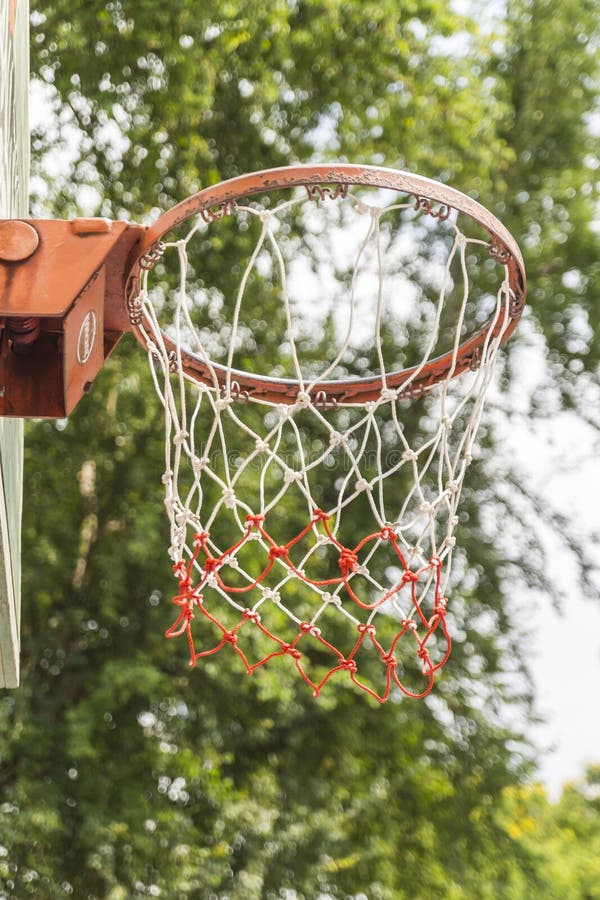 422 Old Basketball Hoop Tree Stock Photos Free & RoyaltyFree Stock