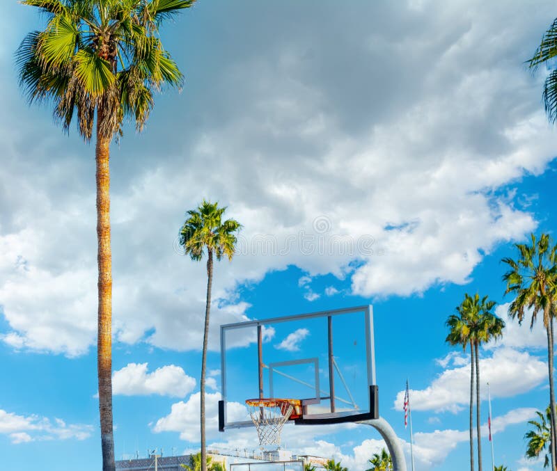 Basketball hoop and palm trees in Venice Beach under a cloudy sky