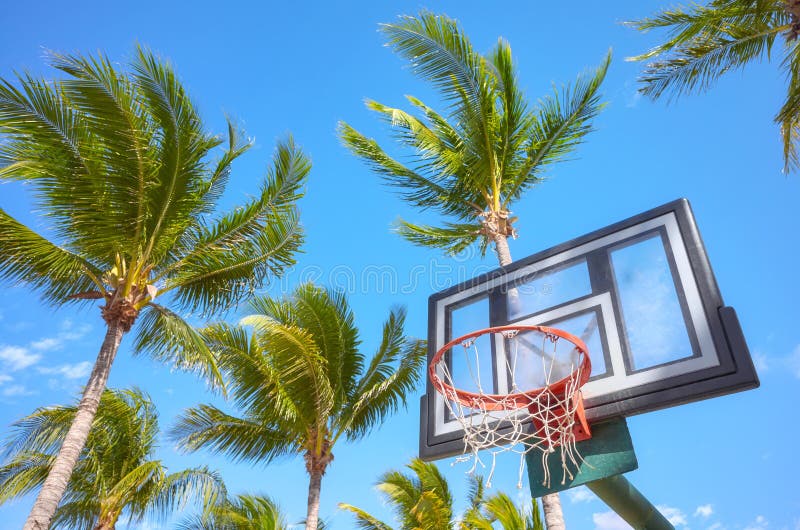 159 Basketball Court Palm Trees Stock Photos Free & RoyaltyFree