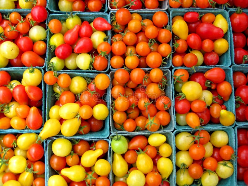 Baskets of cherry tomatoes