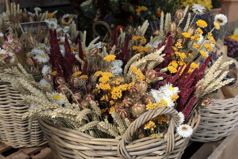 Baskets of Dried Wild Flowers in the Flowers Bar. Stock Photo Image