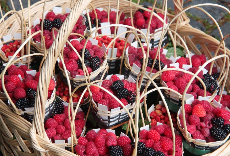 Baskets of Fresh Red and Black Raspberries Stock Photo Image of