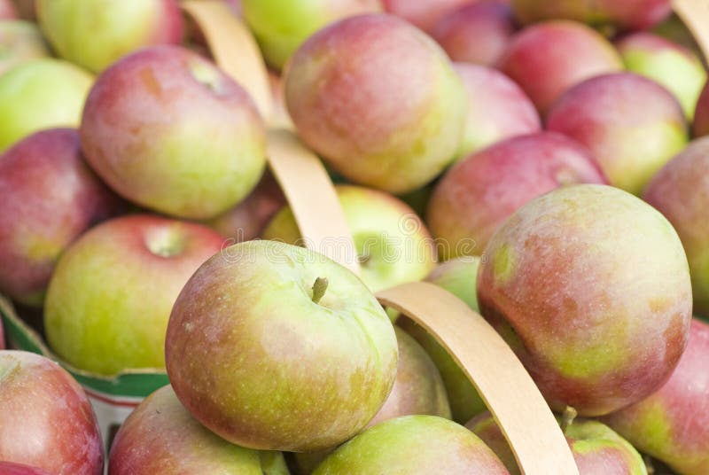 Baskets of Macintosh Apples royalty free stock images Baskets of Macintosh Apples royalty free stock images