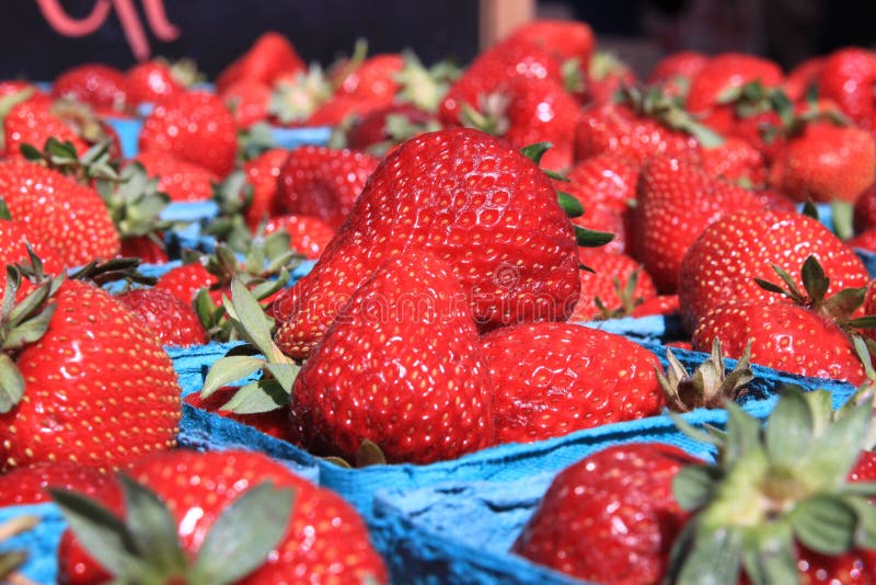 Baskets of Ripe Strawberries